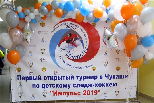 Первый Открытый турнир Чувашии по следж-хоккею прошел в Новочебоксарске