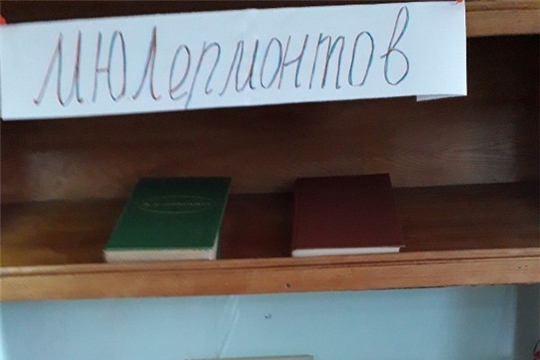 В Покровской сельской библиотеке представлена книжная выставка «Поэзии чудесный гений»