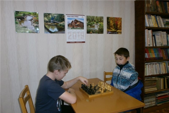 Сеанс игры в шахматы «Выбирай спорт!» прошел в Карабашской сельской библиотеке