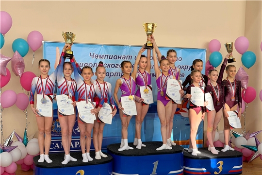 Команда Чувашской Республики заняла второе место в первенстве ПФО