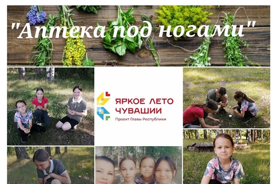 Познавательный час «Аптека под ногами» в Яншиховском б/п