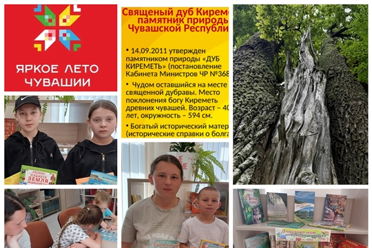  Познавательный час «Деревья — памятники живой природы» в Бакашевской с/б