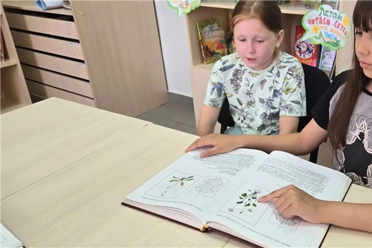 Экологический час "Красная книга родного края" В Малоарабузинской с/б