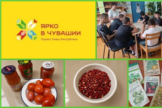 Встреча «Праздник урожая: от грядки до стола» в Шаймурзинской с/б