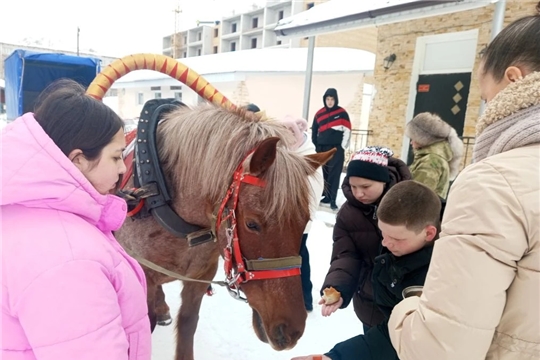 Добрая лошадка у нас в гостях