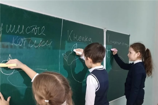 Усатая-полосатая кошачья викторина
