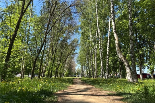 В парках, скверах и местах отдыха у воды в Чебоксарах продолжается акарицидная обработка
