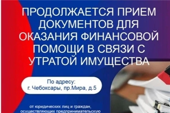 В республике проходит прием заявлений для назначения денежной выплаты юридическим лицам и гражданам, осуществляющим предпринимательскую деятельность, пострадавшим от атаки БПЛА