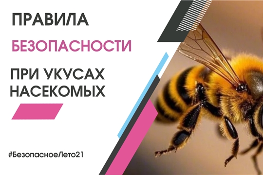 Правила безопасности при встрече с жалящими насекомыми