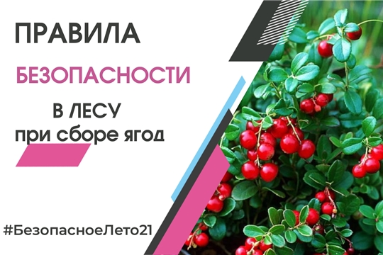 Об опасности ядовитых ягод и растений в летний период