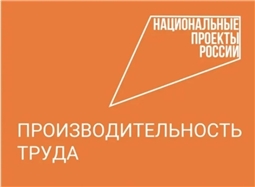  Федеральный проект "Производительность труда"