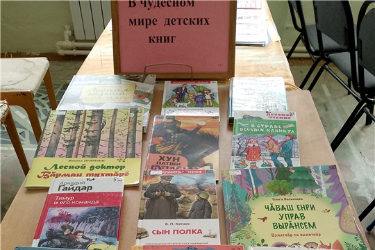 Литературный час "В чудесном мире детских книг" (Чиричкасинская с/б)