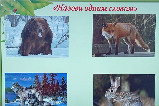 Экологический круиз «В гостях у природы» (Конарская с/б)