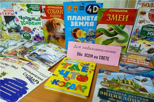 Библиотечный урок Книги-всезнайки в Булдеевской сельской библиотеке