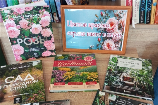 Эко-встреча Цветы августа в библиокафе "Мир" центральной библиотеки при ЦКР "Большой Цивиль"