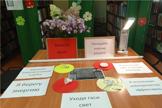 Познавательный час Расходуйте электроэнергию разумно в Поваркасинской сельской библиотеке