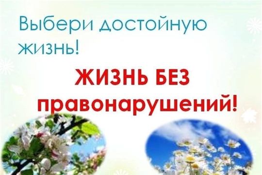 Профилактика правонарушений