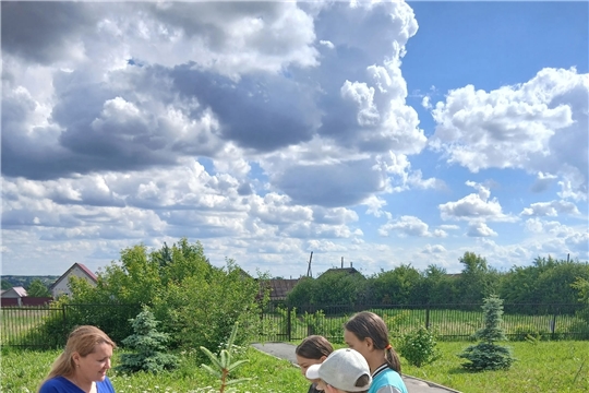 "Береги природу сообща".