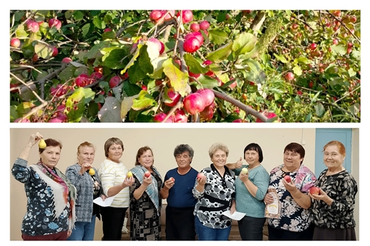 Яблочный праздник души в Кукшумском СДК 