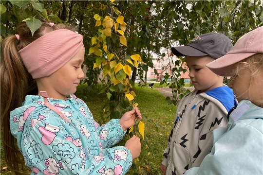 Осенние наблюдения