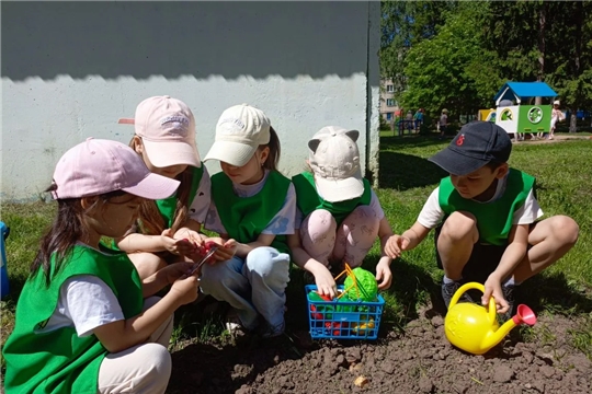На нашем огороде — первые всходы!
