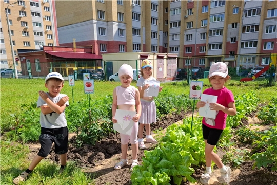 Чудеса на грядке: юные агрономы изучают огород