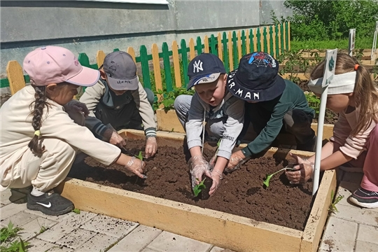 Агролаборатория в детском саду