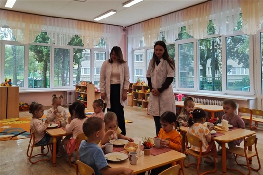 Родительский контроль за организацией питания в ДОУ