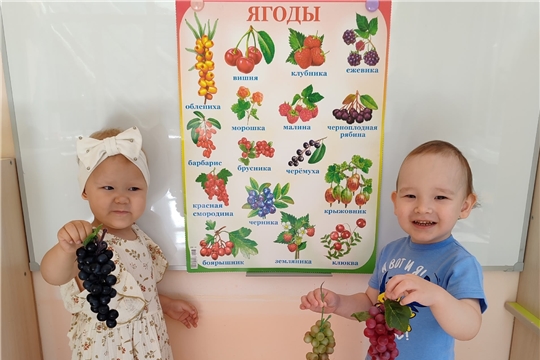 Польза ягод для здоровья малышей