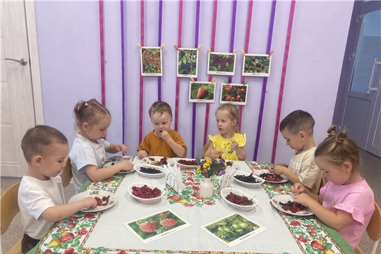 Лето — время ягодных чудес 
