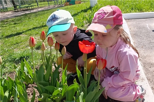 Наблюдения за природой