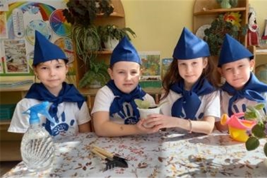 Цветок ветерану