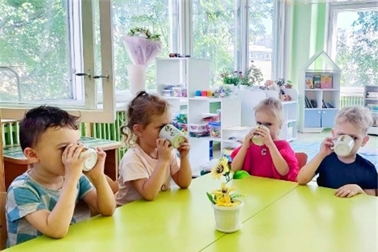 Организация питьевого режима в ДОУ