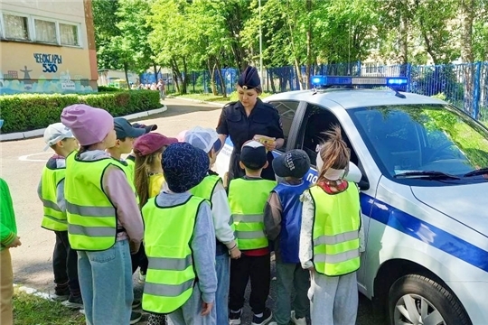Викторина по ПДД