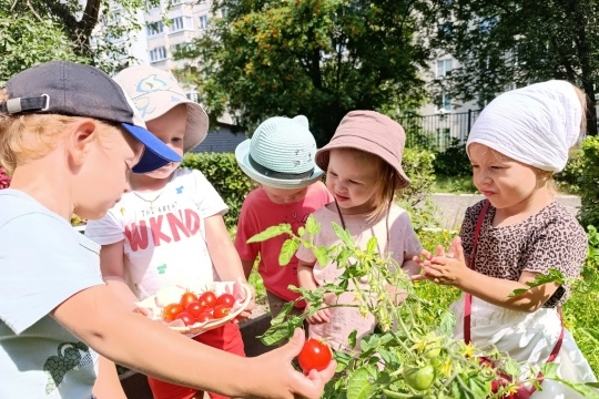 От грядки — к столу: познаём мир через труд