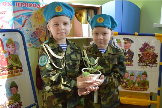 В детском саду проходит акция «Цветок ветерану»