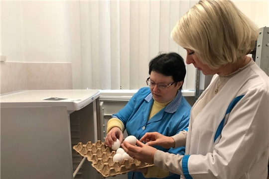 Контроль за качеством продуктов в детском саду