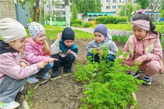 Маленький огород — большие открытия!