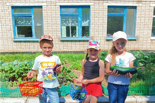 Собрали свой первый урожай