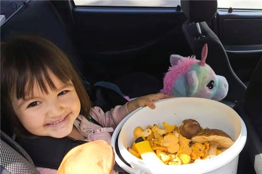 ОСТОРОЖНО: ГРИБЫ! Важное напоминание для родителей