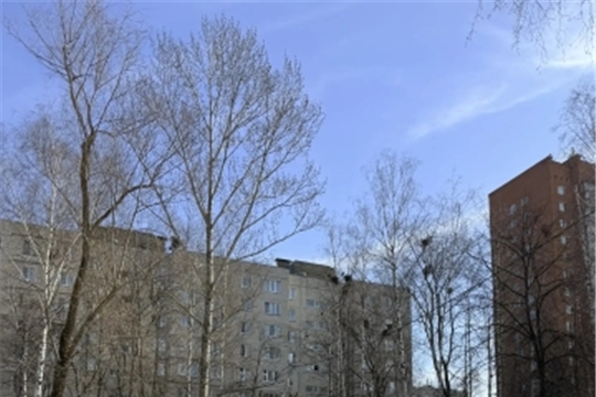 Международный день птиц