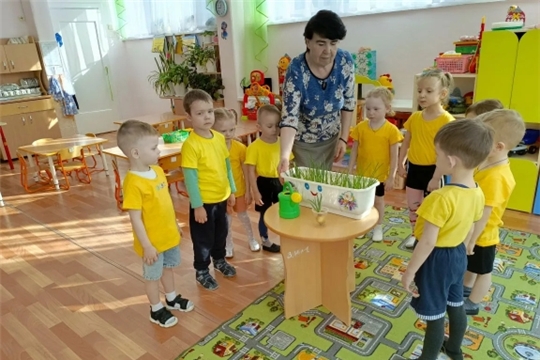Витамины на окне