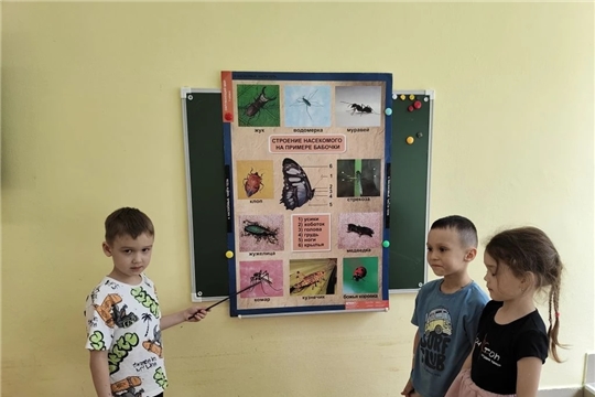Осторожно, насекомые!