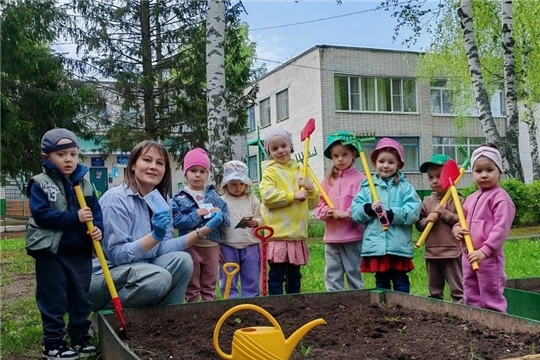 «Мы сажали огород, что там только не растёт…».