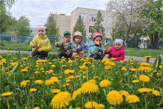 Всемирный День Одуванчика в группе "Сказка"
