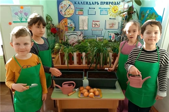 "Весенняя капель": юные натуралисты выращивают зелёный лук