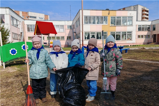 Тимуровская команда: участие в акции "Чистый сад"