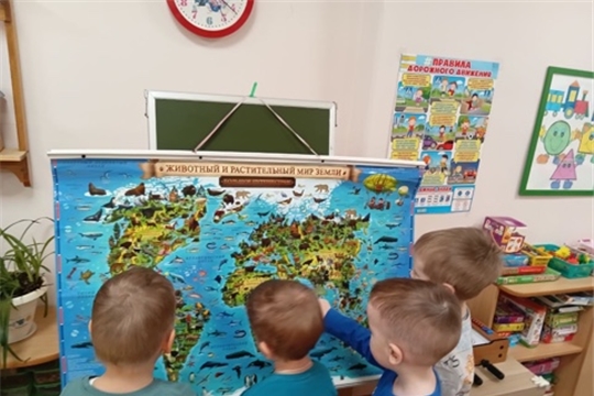 Море и его обитатели