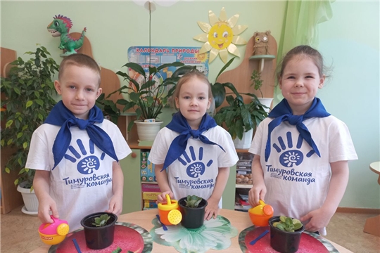 Акция «Цветок ветерану»