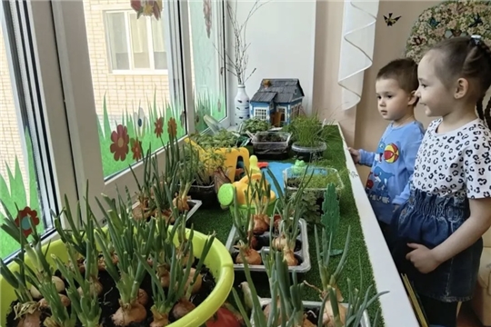 Огород на подоконнике